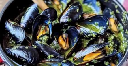 Moules au pesto servies dans un plat creux, accompagnées de pain grillé