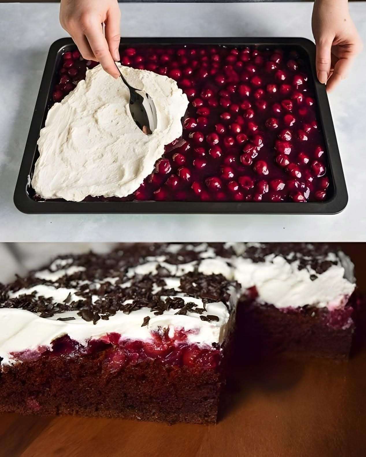 Gâteau Forêt Noire en plaque, garni de cerises, de crème chantilly et de copeaux de chocolat noir