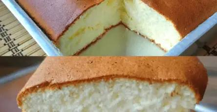 Gâteau de coton moelleux, doré et léger, saupoudré de sucre glace