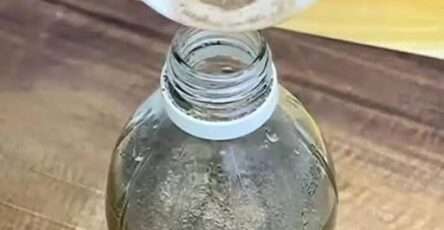 Botella con atomizador de vinagre y pimienta para eliminar orina de mascotas