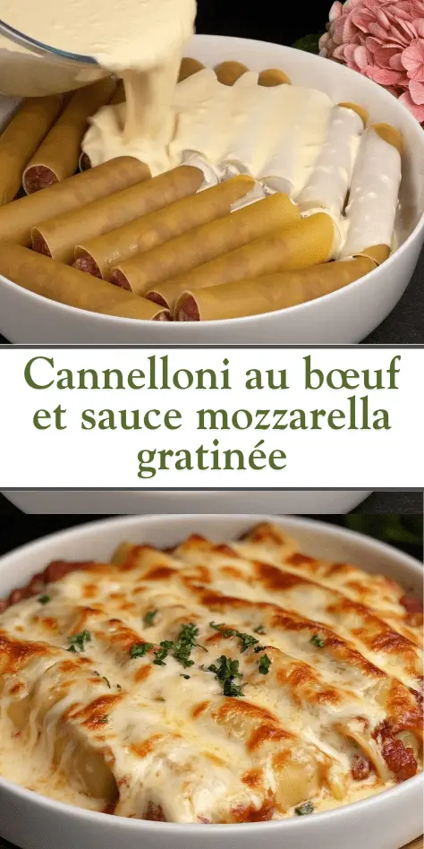 Cannelloni farcis au bœuf nappés de sauce mozzarella crémeuse avant cuisson, puis gratinés au four avec une croûte dorée et fondante.