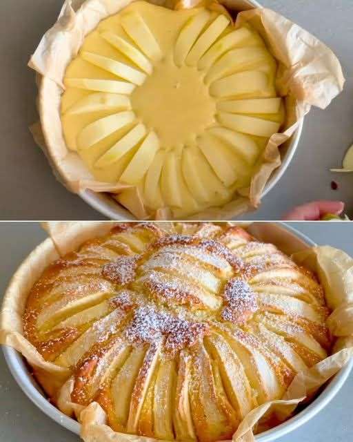 gâteau moelleux aux pommes doré et poudré de sucre