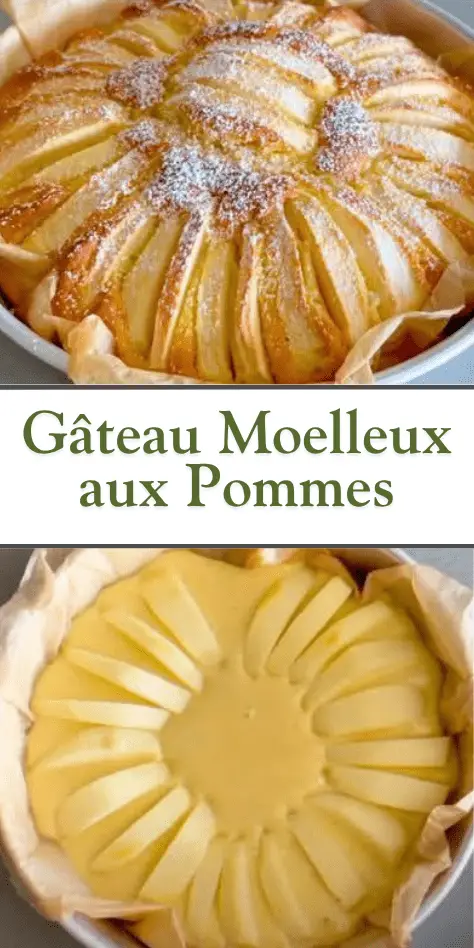 gâteau moelleux aux pommes doré et poudré de sucre