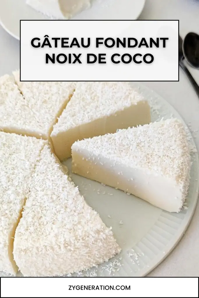 Gâteau fondant à la noix de coco, démoulé, décoré de noix de coco râpée, servi bien frais sur assiette blanche, avec touche exotique.