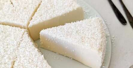 Gâteau fondant à la noix de coco, démoulé, décoré de noix de coco râpée, servi bien frais sur assiette blanche, avec touche exotique.