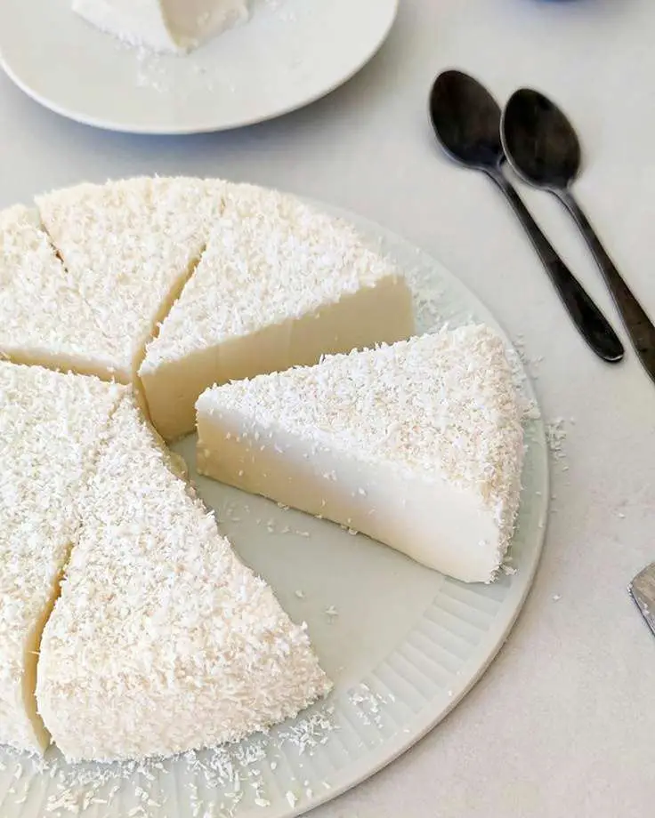 Gâteau fondant à la noix de coco, démoulé, décoré de noix de coco râpée, servi bien frais sur assiette blanche, avec touche exotique.