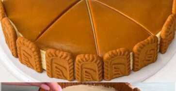 Cheesecake Biscoff sans cuisson, nappé de pâte spéculoos fondue et décoré de biscuits émiettés sur une assiette blanche.
