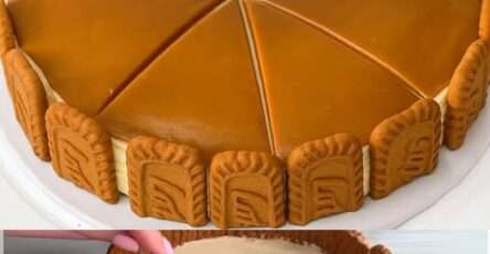 Cheesecake Biscoff sans cuisson, nappé de pâte spéculoos fondue et décoré de biscuits émiettés sur une assiette blanche.