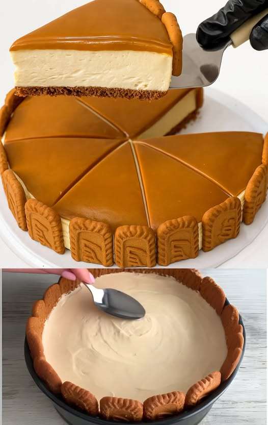 Cheesecake Biscoff sans cuisson, nappé de pâte spéculoos fondue et décoré de biscuits émiettés sur une assiette blanche.