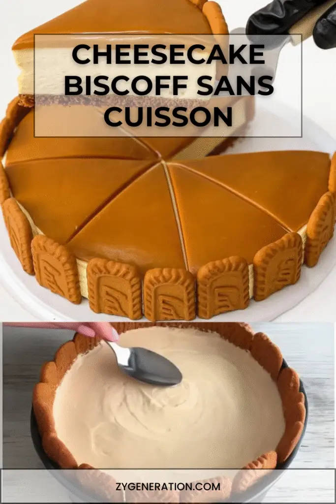 Cheesecake Biscoff sans cuisson, nappé de pâte spéculoos fondue et décoré de biscuits émiettés sur une assiette blanche.