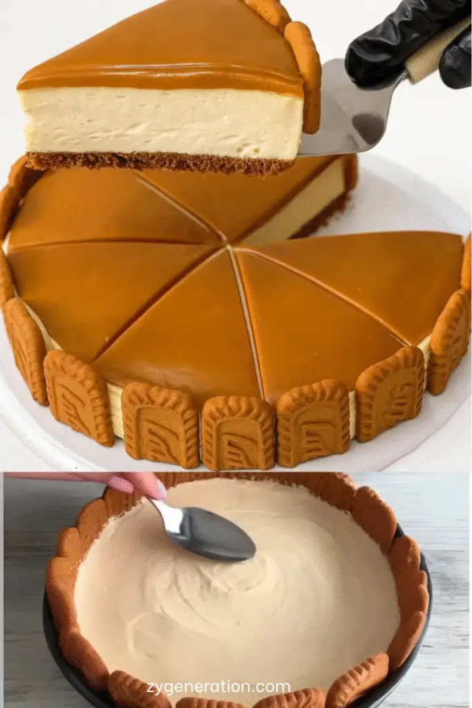 Cheesecake Biscoff sans cuisson, nappé de pâte spéculoos fondue et décoré de biscuits émiettés sur une assiette blanche.