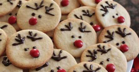 biscuits de noël en forme de rennes avec nez rouge et bois en chocolat