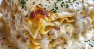Lasagnes crémeuses au poulet nappées de sauce blanche, gratinées et servies en parts épaisses.