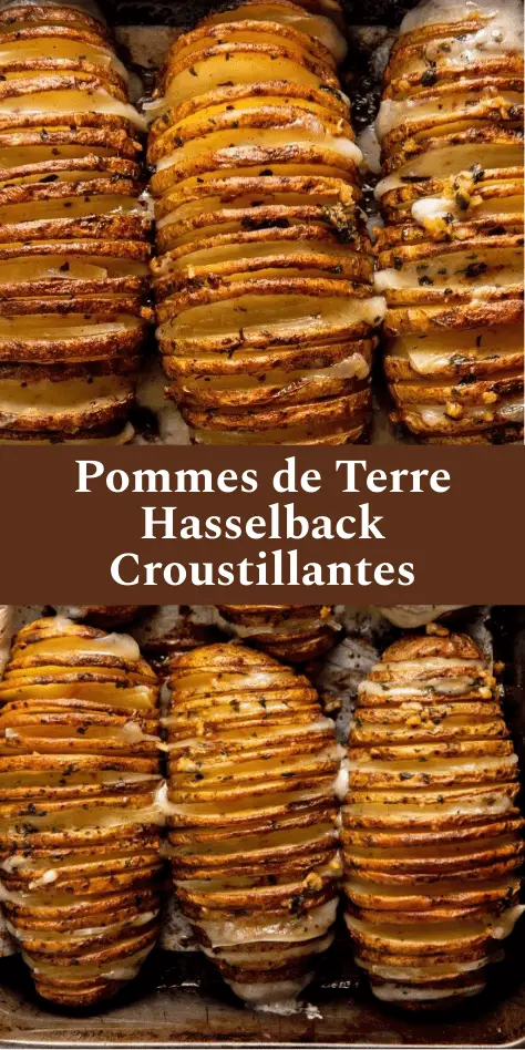 Pommes de terre Hasselback croustillantes au four, dorées, garnies d’ail, d’herbes et de beurre fondu.