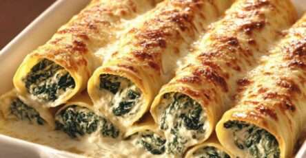 Plat de cannellonis ricotta épinards nappés de béchamel et gratinés au fromage, surface dorée et fondante, servi chaud en plat rectangulaire.