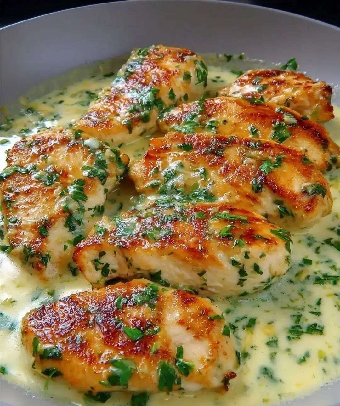 Filets de poulet crémeux dorés nappés d’une sauce crémeuse à l’ail et au persil frais, servis dans une poêle avec une texture onctueuse et brillante