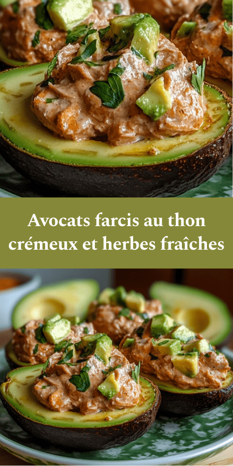 Avocats farcis au thon crémeux avec herbes fraîches, dés d’avocat sur le dessus et assaisonnement citronné, servis bien frais.