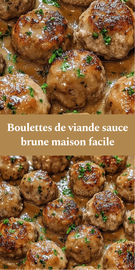 Boulettes de viande dorées nappées d’une sauce brune onctueuse, servies chaudes avec du persil frais dans une assiette généreuse.