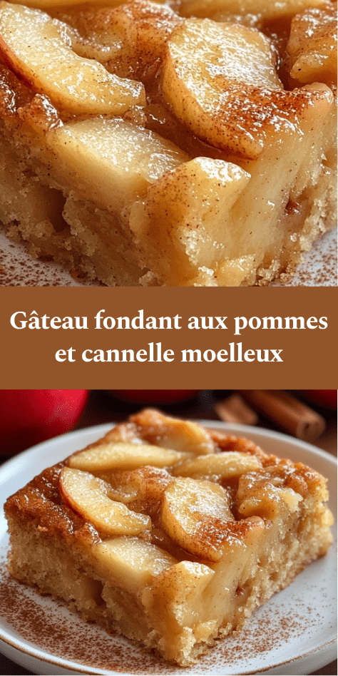 Gâteau moelleux aux pommes fondantes et cannelle, légèrement doré avec tranches de pommes caramélisées sur le dessus.