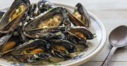 Moules fraîches à la crème liquide, ail haché, beurre, persil frais, poivre noir et sauce onctueuse servies en assiettes creuses.